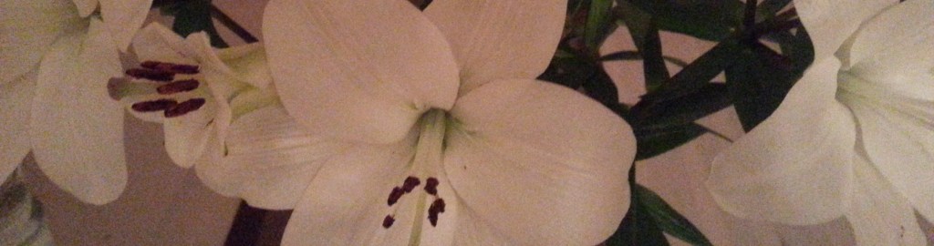 Freund oder Feind: Offenheit und Ehrlichkeit sind zweifelhafte&nbsp;Gesellen