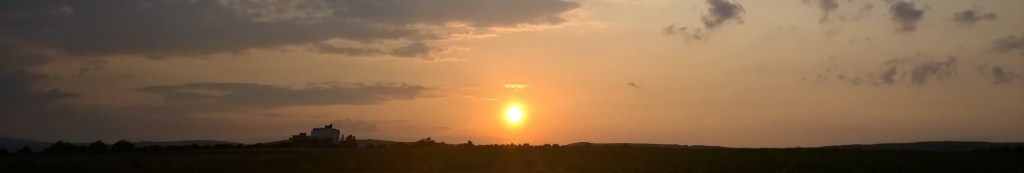 Freund oder Feind: Emotionale Dummheit –&nbsp;Prolog