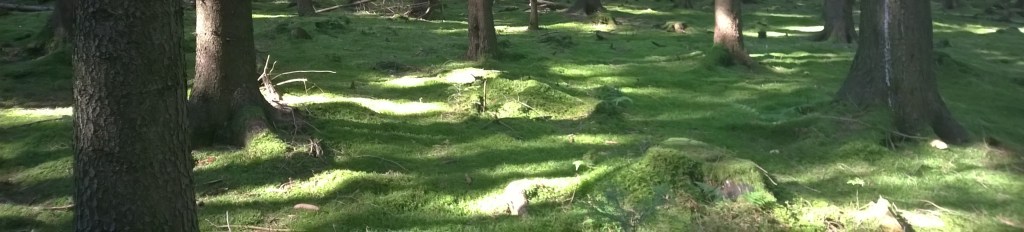 Freund oder Feind: Herausforderung&nbsp;angenommen