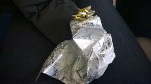 Traurige Erinnerung an meine Gurke