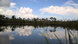 WP_20150804_14_40_37_Pro