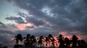 WP_20150812_20_04_14_Pro