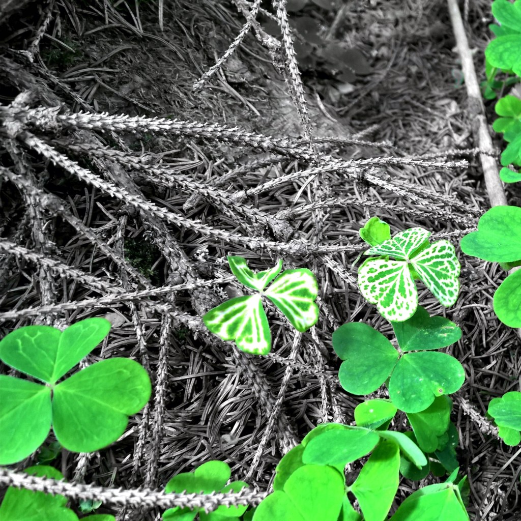 Freund oder Feind: Von Plan A zu Plan nichts – Version&nbsp;2