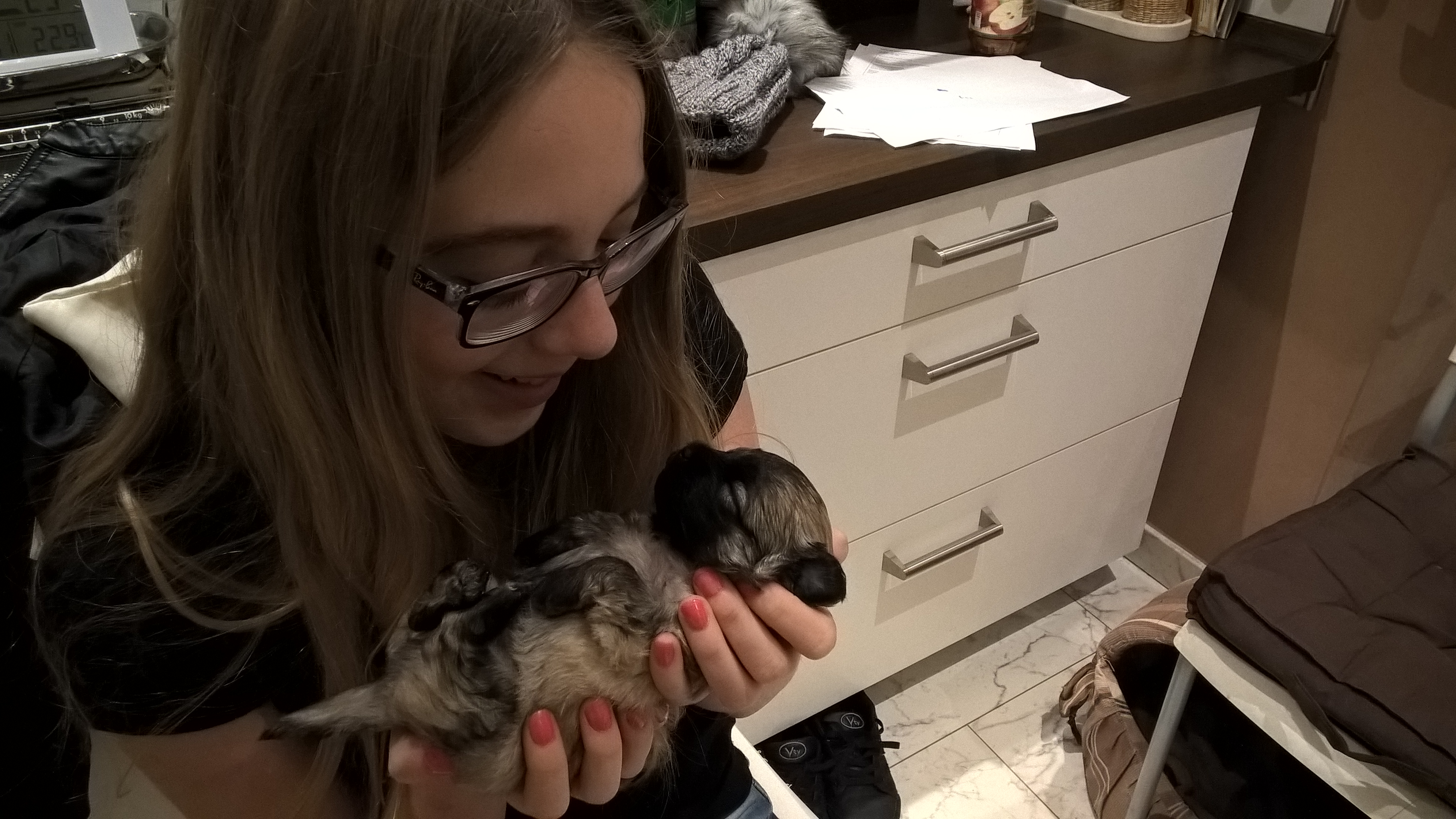 WP_20160104_18_12_29_Pro