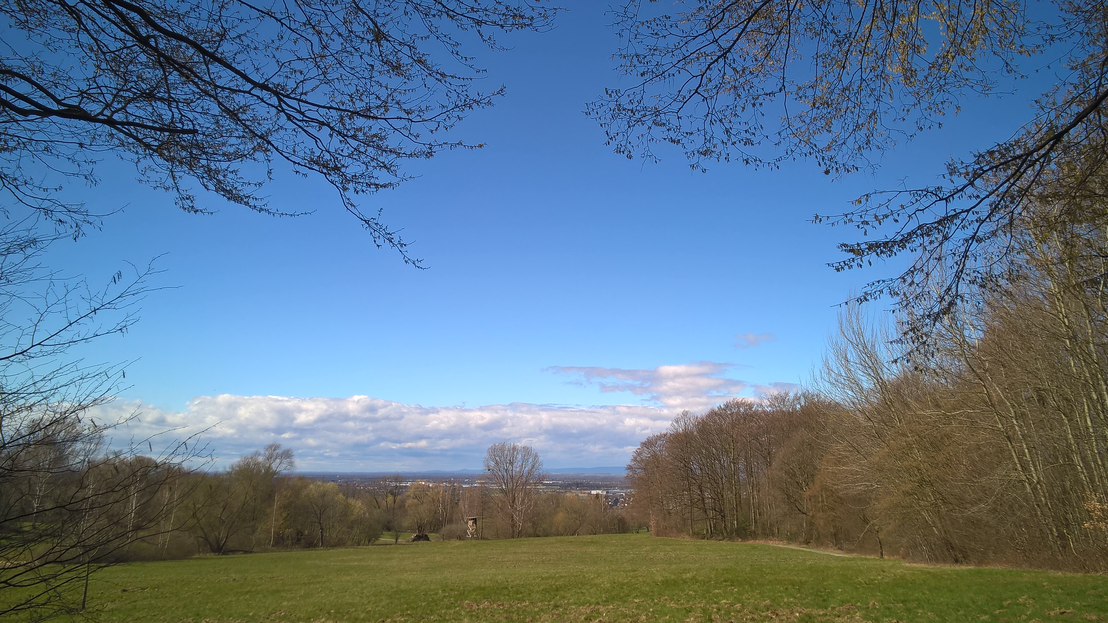 WP_20160328_13_42_19_Pro_LI