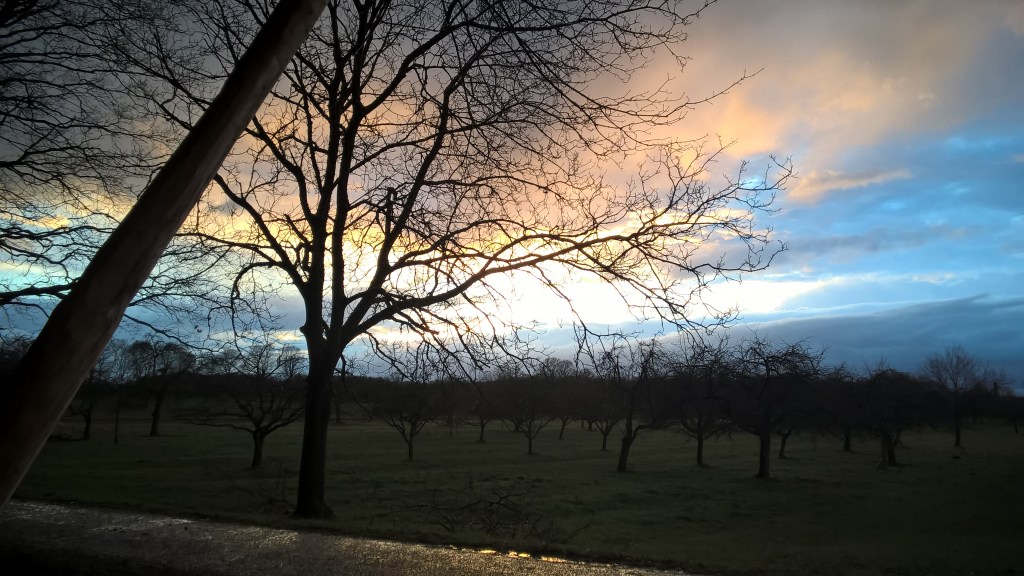 Von Seelenblindheit bis Zeitraffer nicht in meinen&nbsp;Worten